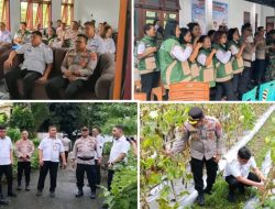 Wabup Tendris Bulahari Bersama Forkopimda Hadiri Panen Raya dan Pantau Swasembada Pangan via Daring di BPP Manente