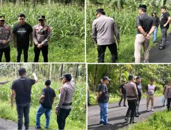 Akselerasi Ketahanan Pangan: Kapolres Sangihe dan Wakil Bupati Tinjau Kesiapan Panen Jagung di Tamako