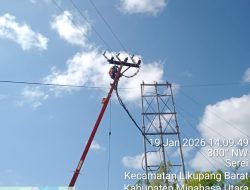 PLN Talise Klarifikasi Gangguan Listrik di Desa Kinabuhutan