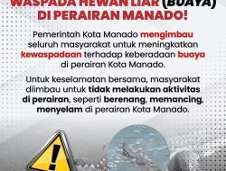 WASPADA BUAYA DI PERAIRAN MANADO!