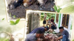Penyembelihan Hewan Kurban Idul Adha 1447 H di Simpang Keramat Gemol, Tulang Bawang Barat Berlangsung Khidmat