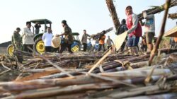 Petani Rasakan Dampak Penguatan Sektor Pertanian, Produktivitas Meningkat dan Pupuk Kian Mudah Diakses