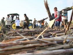 Petani Rasakan Dampak Penguatan Sektor Pertanian, Produktivitas Meningkat dan Pupuk Kian Mudah Diakses